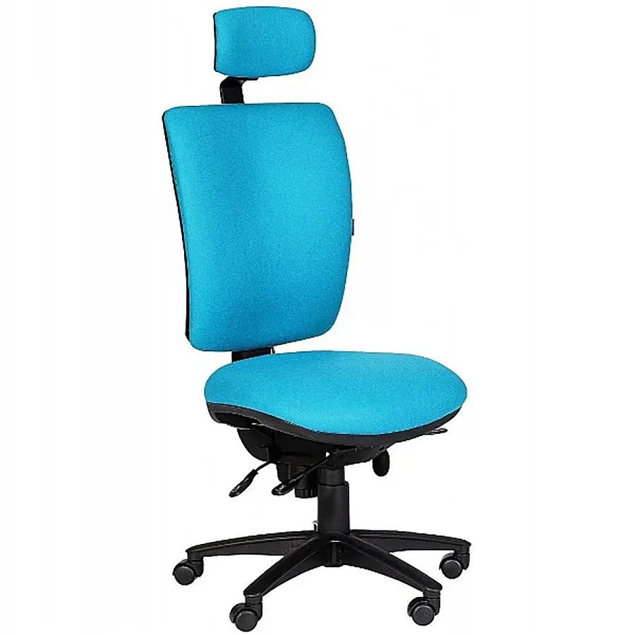 Ergonomic 24hr Task Chair