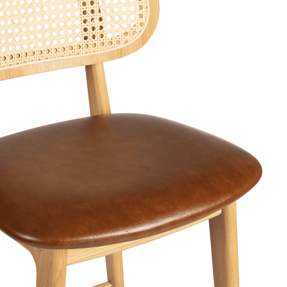 Relish bar Stool with Natural Cane Back and Lascari Seat Pad